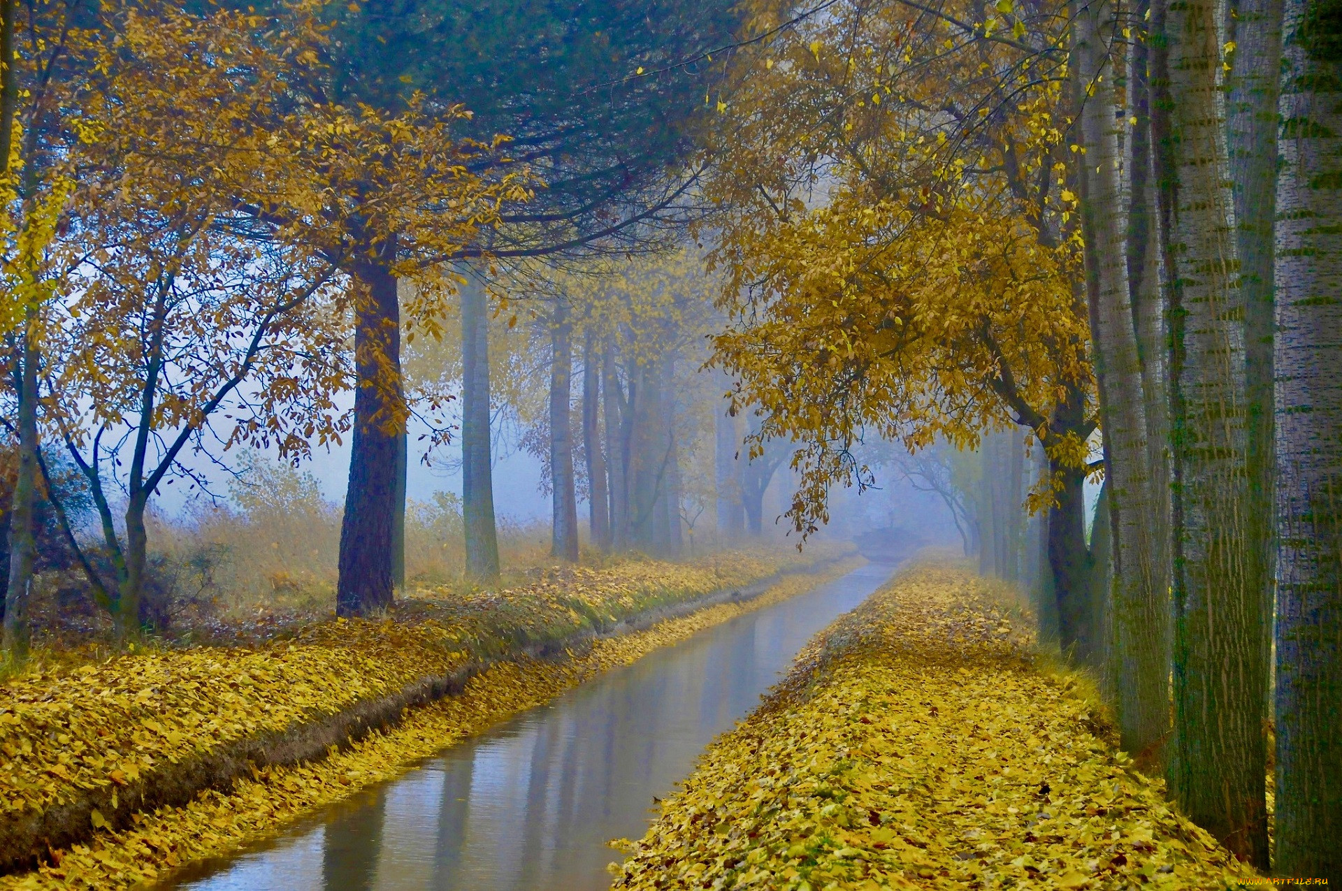 �������, ����, �����, ������